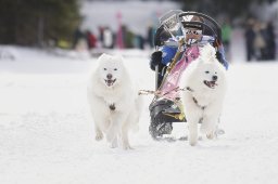 Lenzerheide 2013